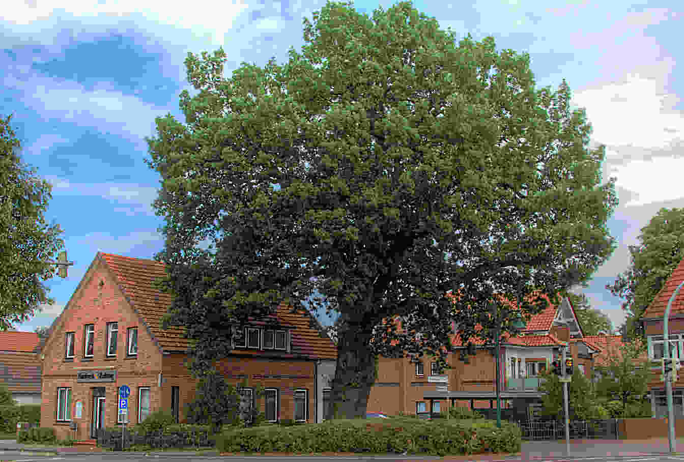 Bild der Stadt Wardenburg