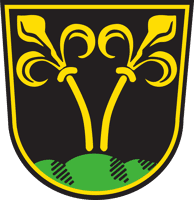 Wappen der Stadt Traunstein