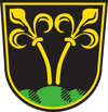 Wappen der Stadt Kreis Traunstein