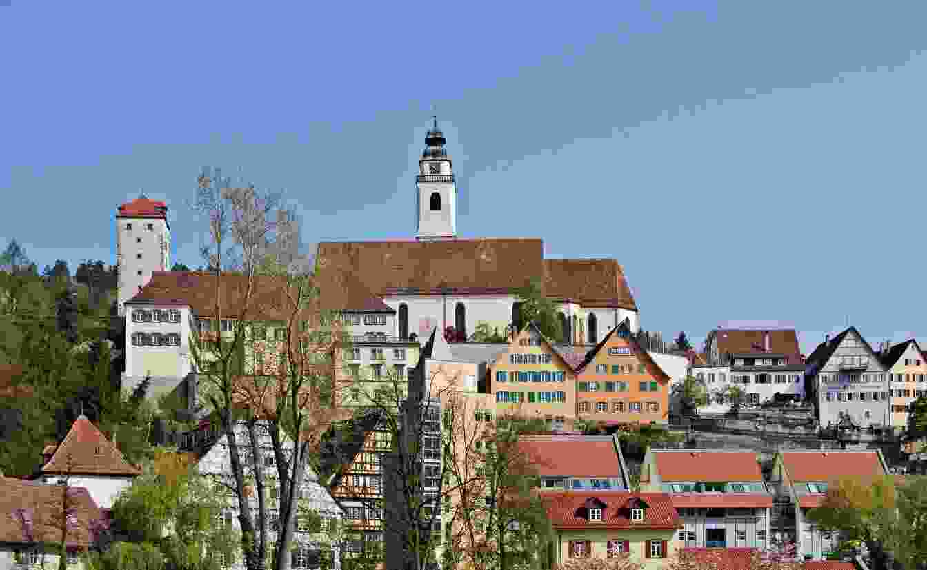 Bild der Stadt Horb am Neckar