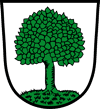 Wappen der Stadt Bad Kötzting