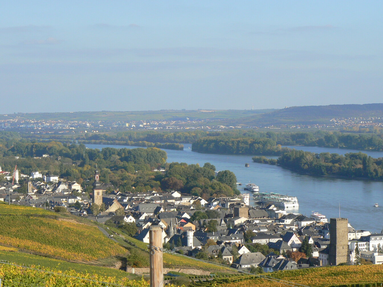 Bild der Stadt Rüdesheim am Rhein