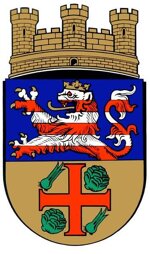 Offizielles Stadtwappen Groß-Gerau