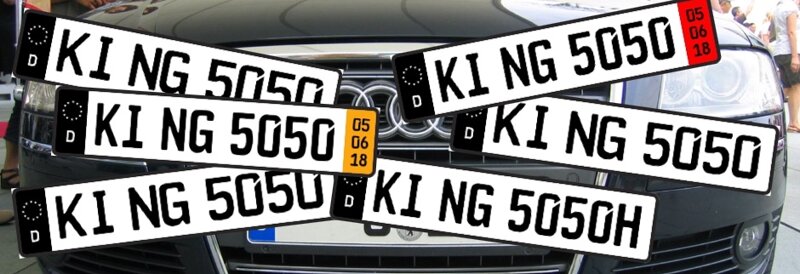 Verschiedene Kennzeichen: Was du schon immer wissen wolltest
