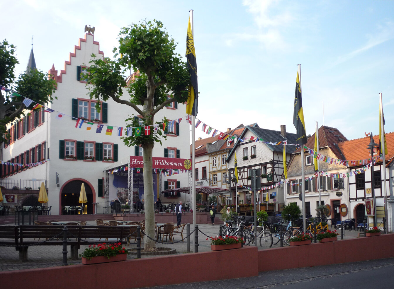 Bild der Stadt Oppenheim