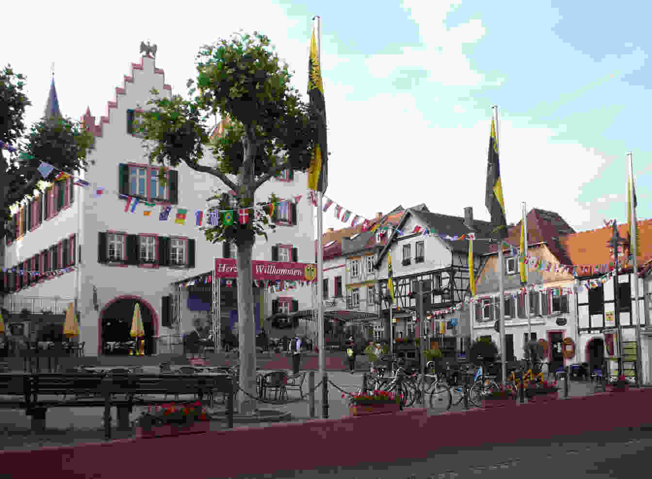 Bild der Stadt Oppenheim