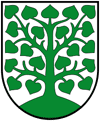 Wappen der Stadt Homberg (Ohm)