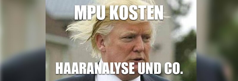 MPU Kosten: Haaranalyse, MPU Vorbereitung – die Kosten und mehr